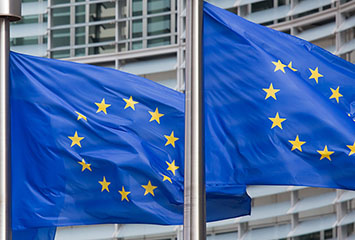 EU Flag Thumbnail