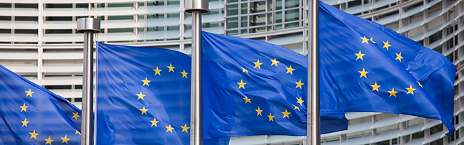 GDPR Summary - EU Flags Image
